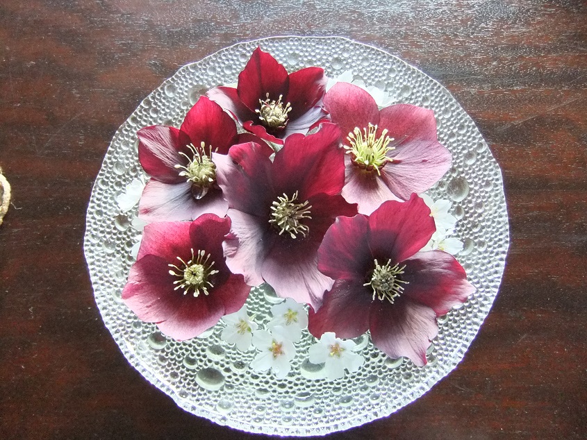 table decoration of Hellebore flowers floating in water